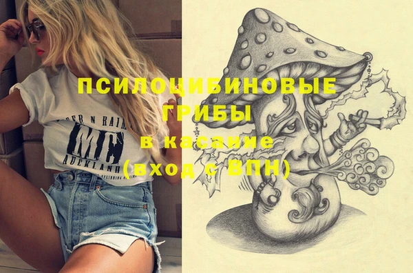 ECSTASY Бугульма