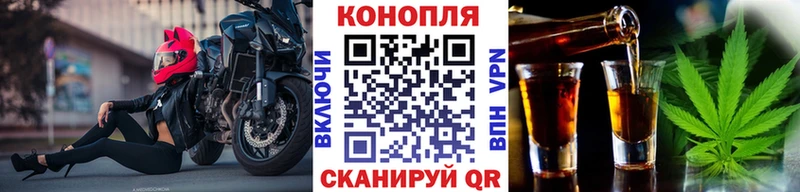 Каннабис White Widow  мориарти клад  Топки  наркотики 